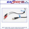Scart-BNC-to-2-Phonos-2 BNC Phono to Scart Lead for CCTV and Vintage Game Machines - 1m Cable